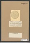 Coscinodiscus convexus Castr. (de-Toni-Nr.: Genus 202, Species 5190) Zeichnungen Sammlung Grunow Nr. 8904 (NHMW-BOT-W0378563)